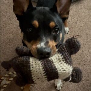 Meet your Posher, Leah